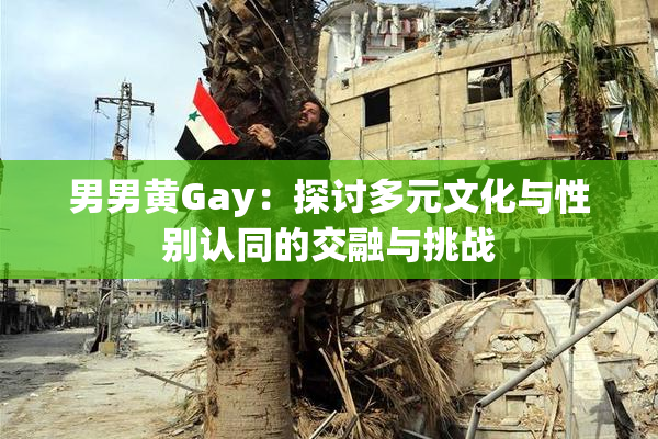 男男黄Gay：探讨多元文化与性别认同的交融与挑战