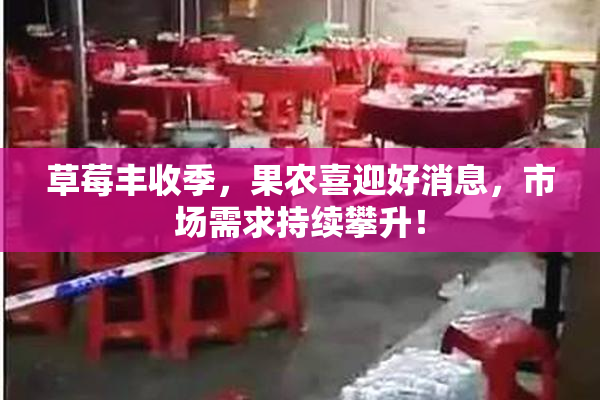草莓丰收季，果农喜迎好消息，市场需求持续攀升！