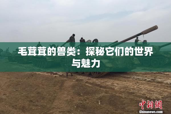 毛茸茸的兽类：探秘它们的世界与魅力