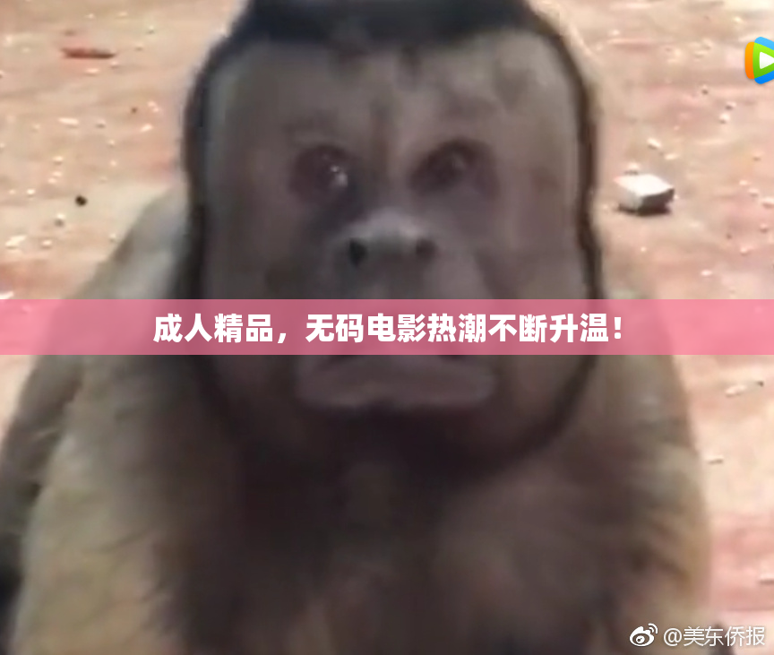 成人精品，无码电影热潮不断升温！