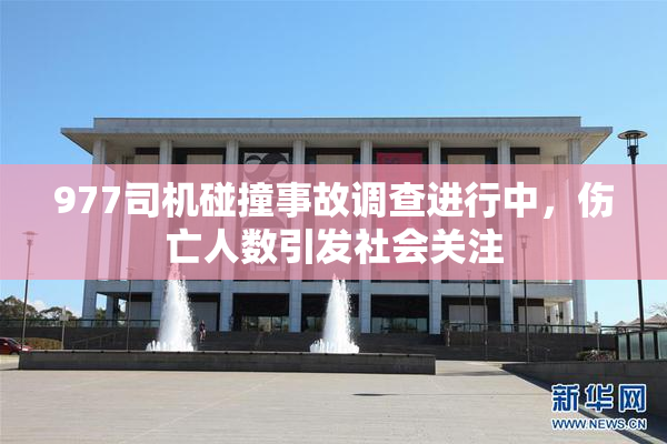 977司机碰撞事故调查进行中，伤亡人数引发社会关注