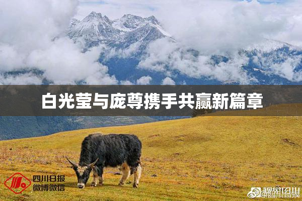 白光莹与庞尊携手共赢新篇章