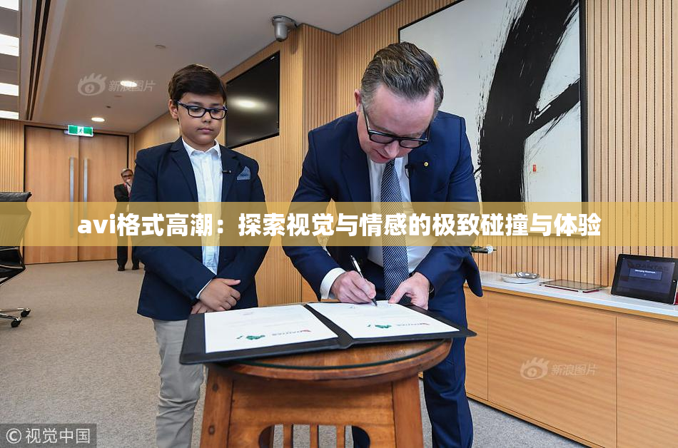 avi格式高潮：探索视觉与情感的极致碰撞与体验