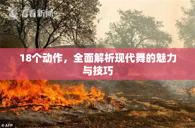 18个动作，全面解析现代舞的魅力与技巧