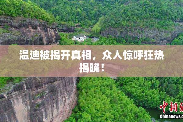 温迪被揭开真相，众人惊呼狂热揭晓！