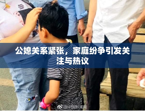 公媳关系紧张，家庭纷争引发关注与热议