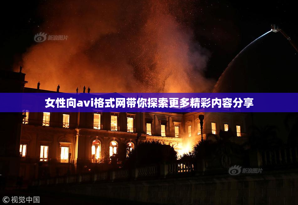 女性向avi格式网带你探索更多精彩内容分享