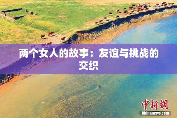 两个女人的故事：友谊与挑战的交织