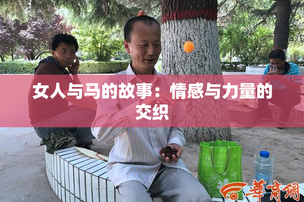 女人与马的故事：情感与力量的交织