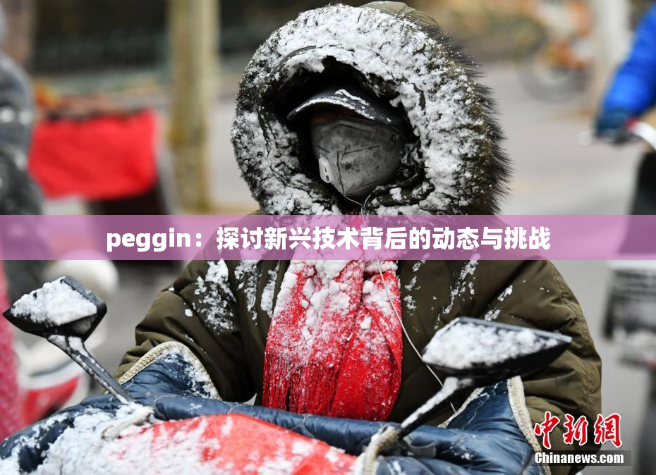 peggin：探讨新兴技术背后的动态与挑战