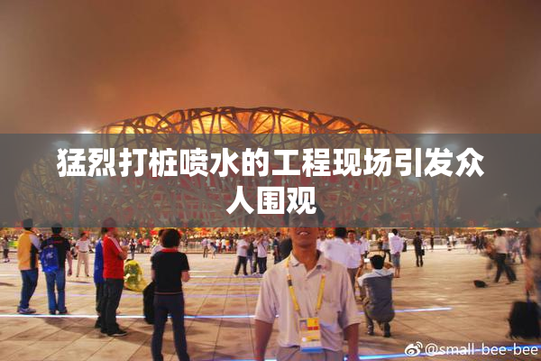 猛烈打桩喷水的工程现场引发众人围观