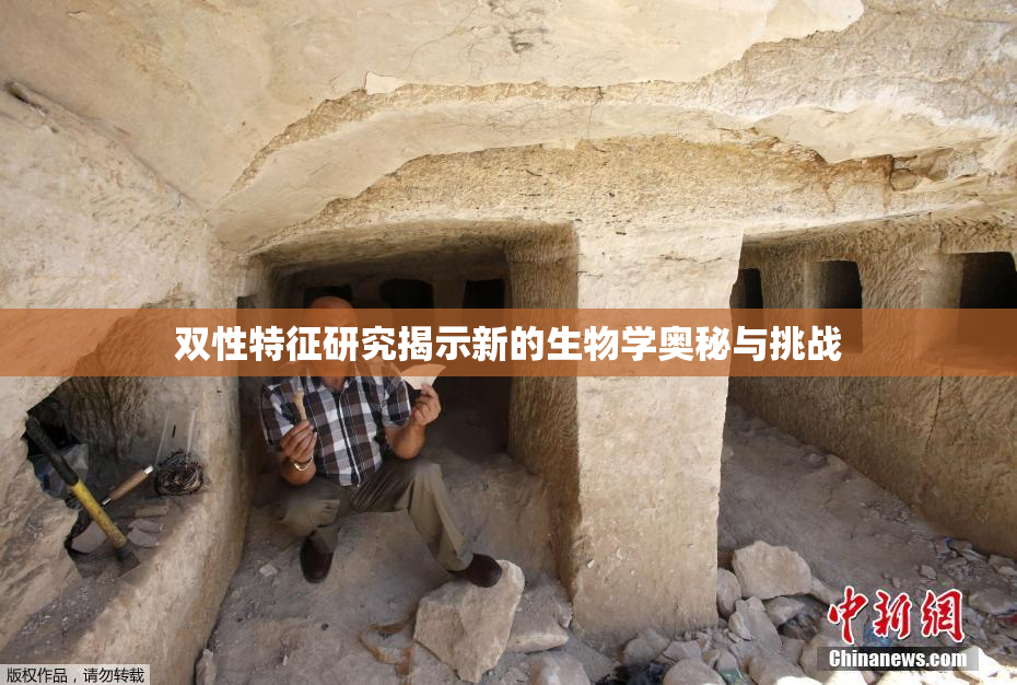 双性特征研究揭示新的生物学奥秘与挑战