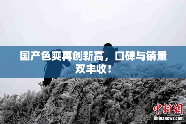 国产色爽再创新高，口碑与销量双丰收！