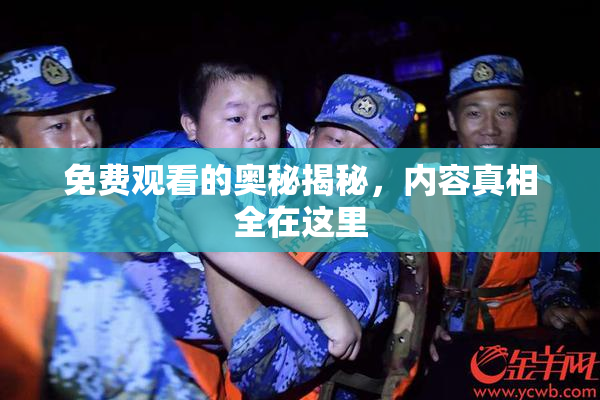 免费观看的奥秘揭秘，内容真相全在这里