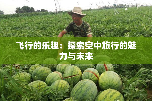 飞行的乐趣：探索空中旅行的魅力与未来