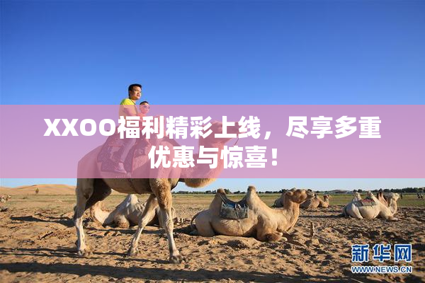 XXOO福利精彩上线，尽享多重优惠与惊喜！