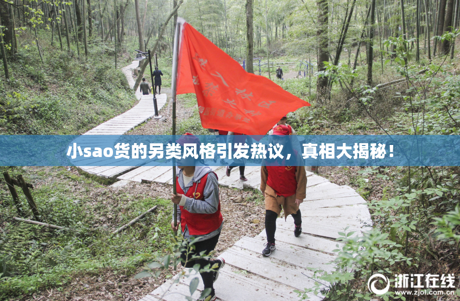小sao货的另类风格引发热议，真相大揭秘！