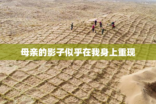 母亲的影子似乎在我身上重现