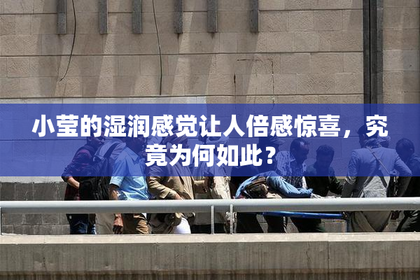 小莹的湿润感觉让人倍感惊喜，究竟为何如此？