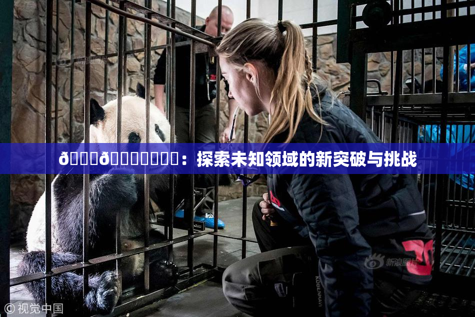 🍆🍑❌‌❌‌：探索未知领域的新突破与挑战