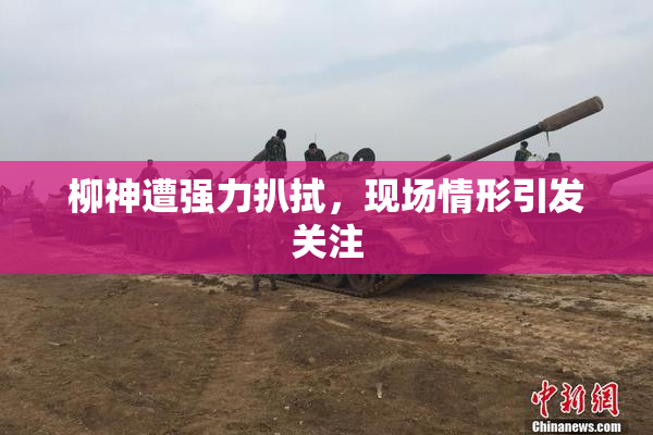 柳神遭强力扒拭，现场情形引发关注