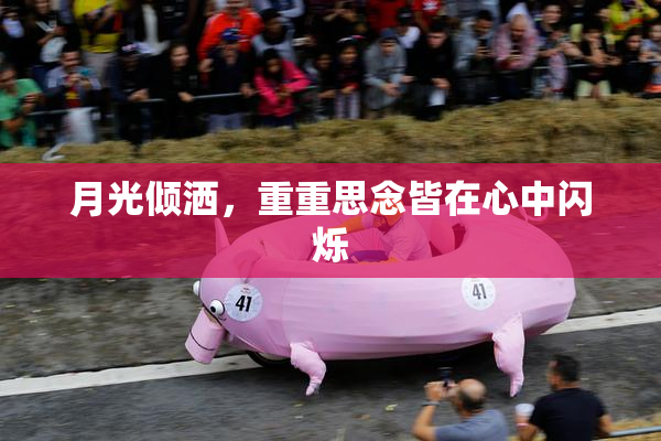 月光倾洒，重重思念皆在心中闪烁