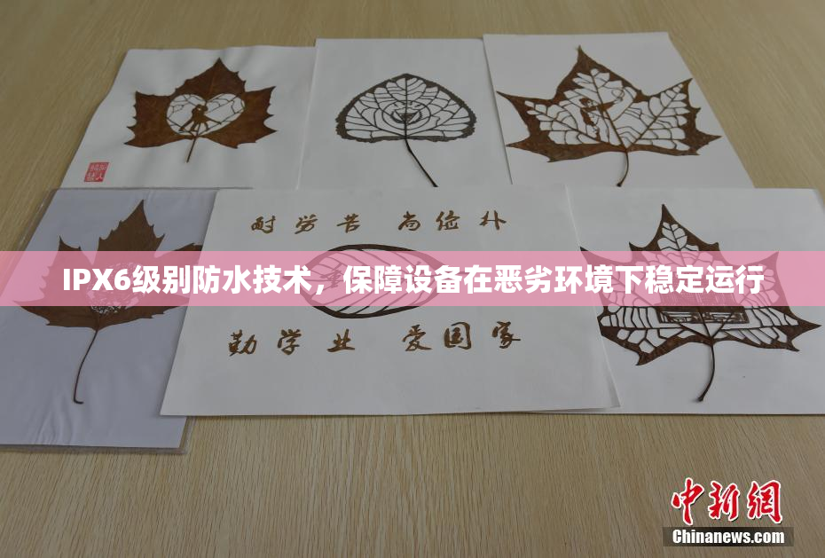 IPX6级别防水技术，保障设备在恶劣环境下稳定运行