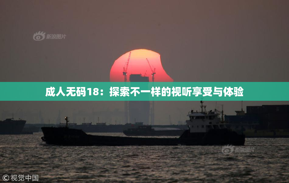 成人无码18：探索不一样的视听享受与体验