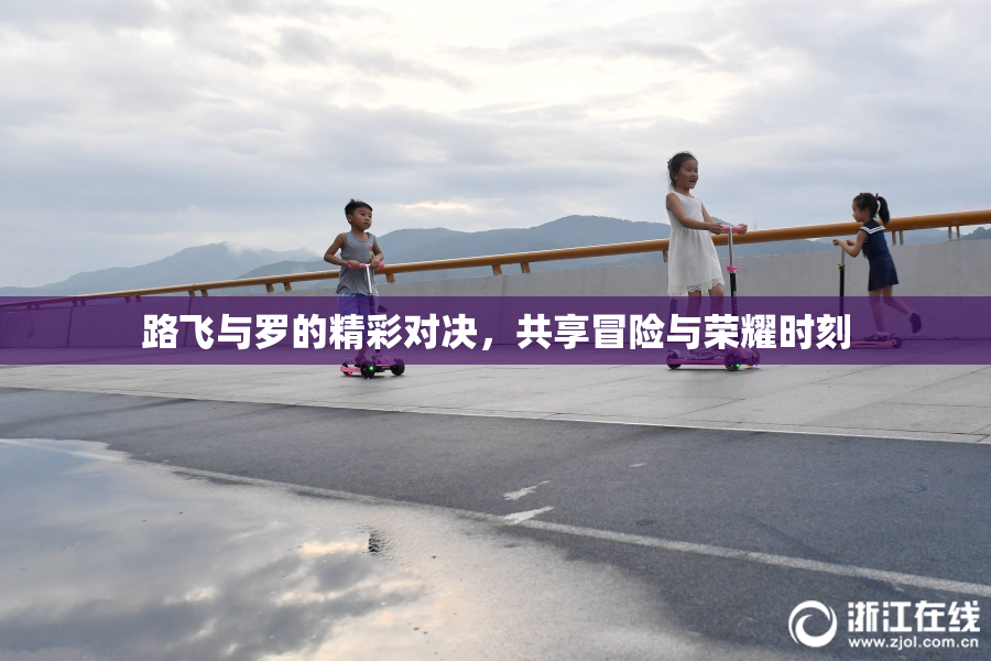 路飞与罗的精彩对决，共享冒险与荣耀时刻