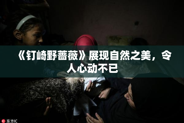 《钉崎野蔷薇》展现自然之美，令人心动不已