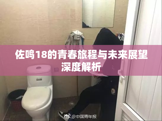 佐鸣18的青春旅程与未来展望深度解析