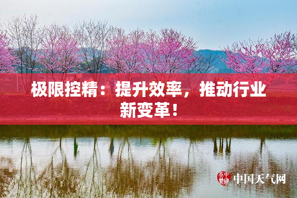 极限控精：提升效率，推动行业新变革！