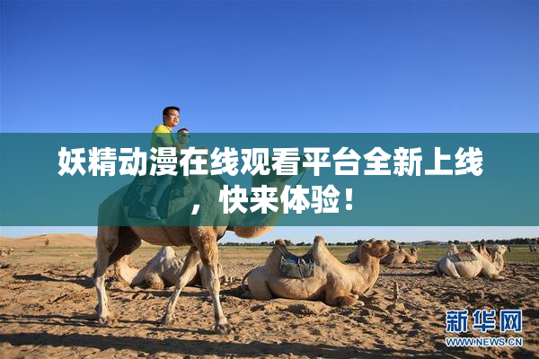妖精动漫在线观看平台全新上线，快来体验！
