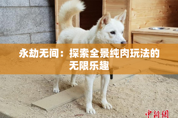 永劫无间：探索全景纯肉玩法的无限乐趣