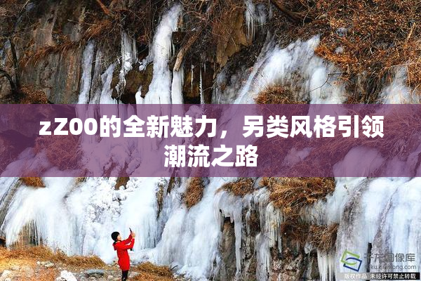 zZ00的全新魅力，另类风格引领潮流之路