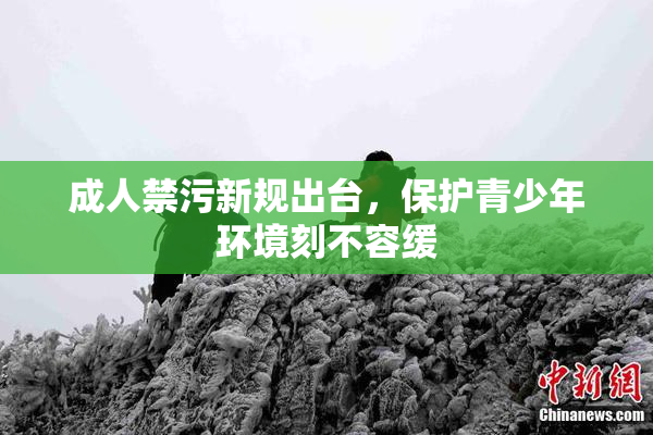 成人禁污新规出台，保护青少年环境刻不容缓