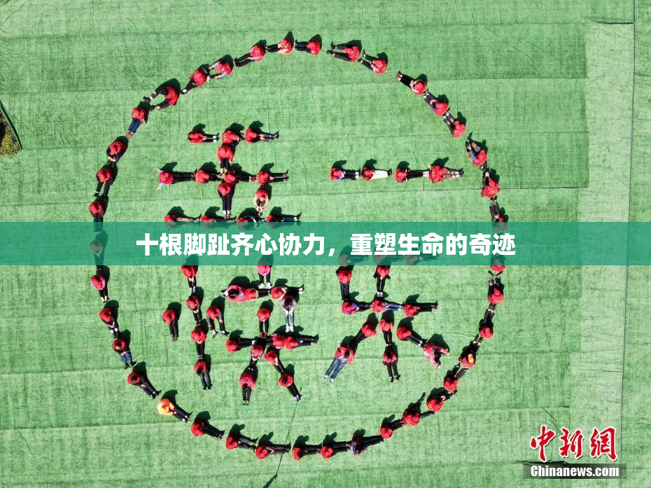 十根脚趾齐心协力，重塑生命的奇迹