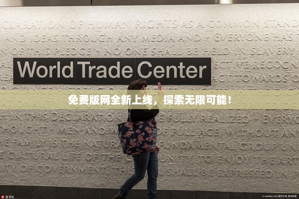 免费版网全新上线，探索无限可能！