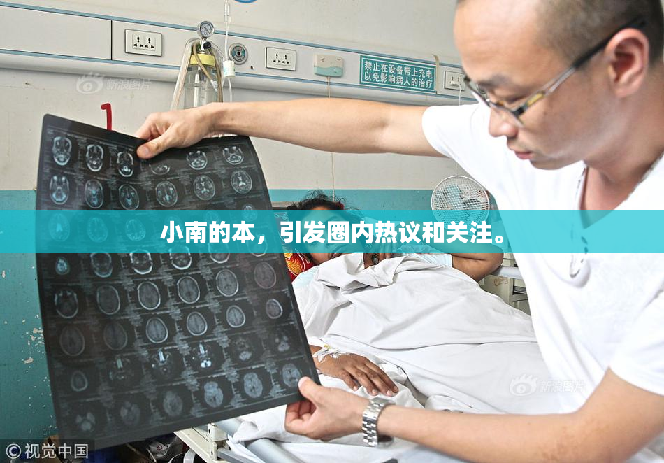 小南的本，引发圈内热议和关注。