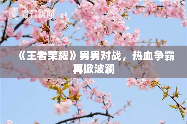 《王者荣耀》男男对战，热血争霸再掀波澜