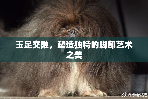 玉足交融，塑造独特的脚部艺术之美