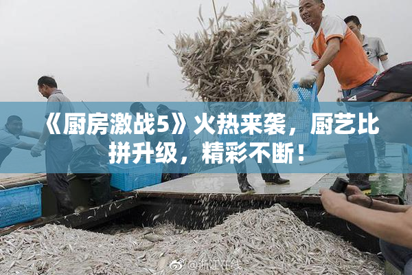 《厨房激战5》火热来袭，厨艺比拼升级，精彩不断！
