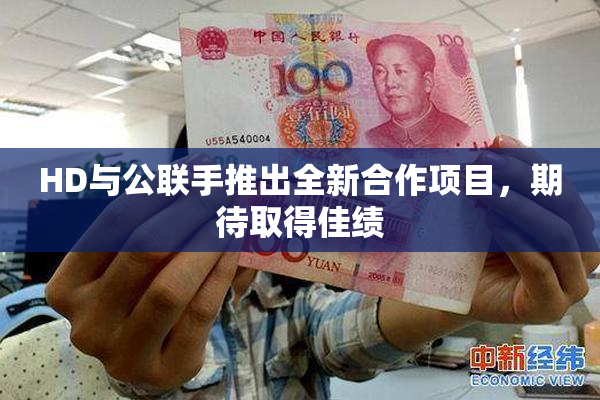 HD与公联手推出全新合作项目，期待取得佳绩