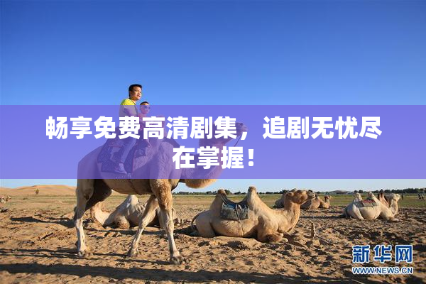 畅享免费高清剧集，追剧无忧尽在掌握！