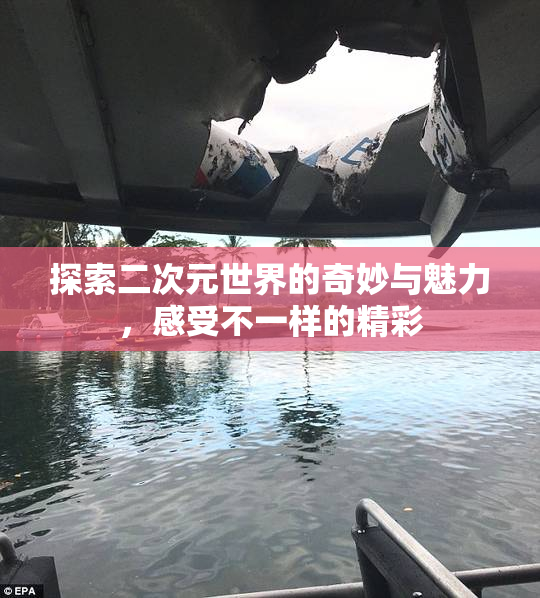 探索二次元世界的奇妙与魅力，感受不一样的精彩