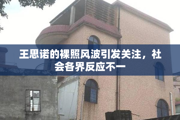 王思诺的裸照风波引发关注，社会各界反应不一