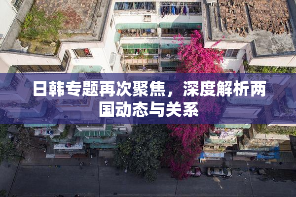 日韩专题再次聚焦，深度解析两国动态与关系