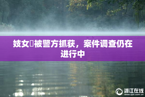 妓女梱被警方抓获，案件调查仍在进行中