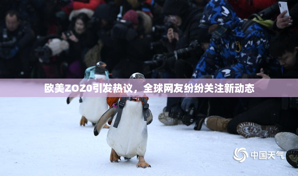 欧美ZOZ0引发热议，全球网友纷纷关注新动态