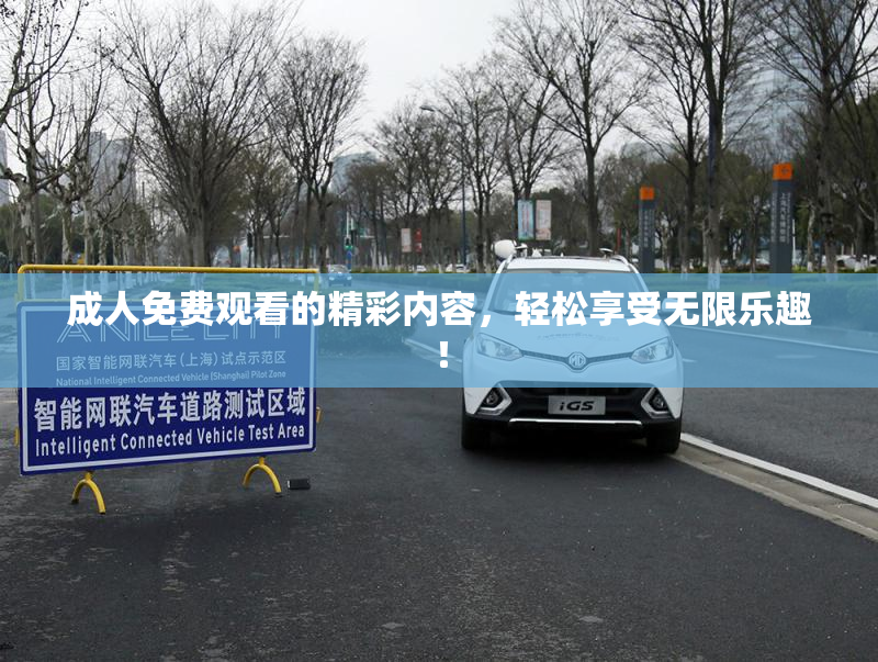成人免费观看的精彩内容，轻松享受无限乐趣！